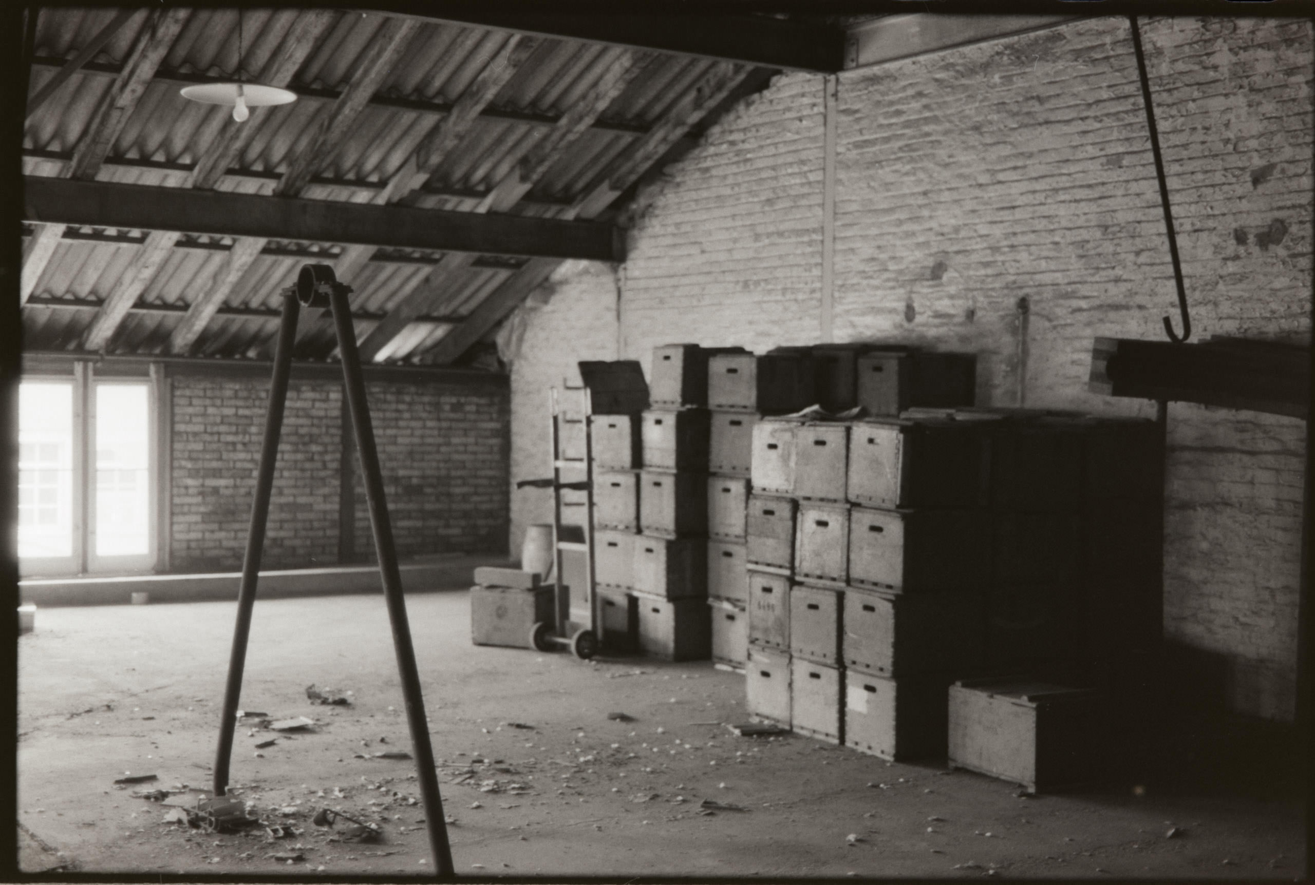 AHP FilmScan 240731 0720